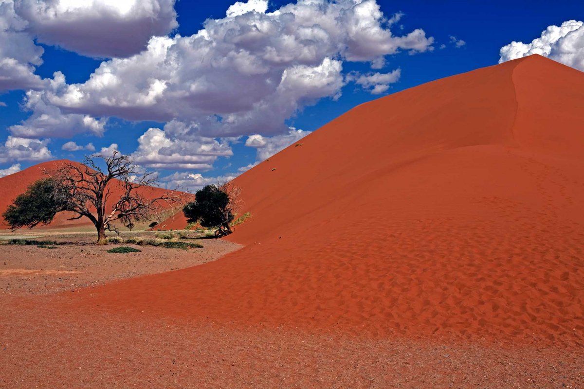 Die vielen Dünen geben dem Namib Naukluft Park sein Gepräge. Foto: Ingo Paszkowsky