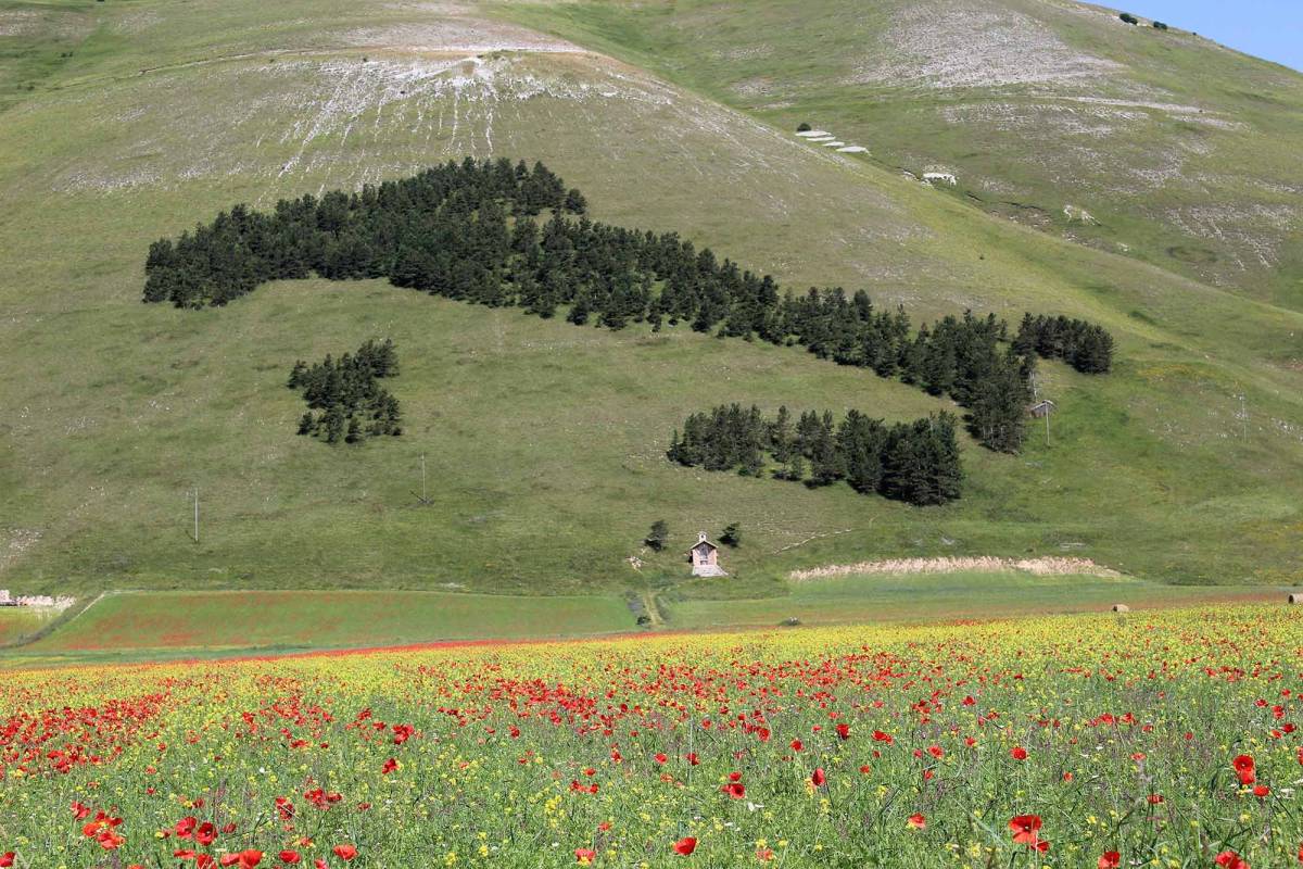 Der italienische Stiefel als Wald im Tal der Hochebene Piano Grande / Foto: pixabay / faustomanasse