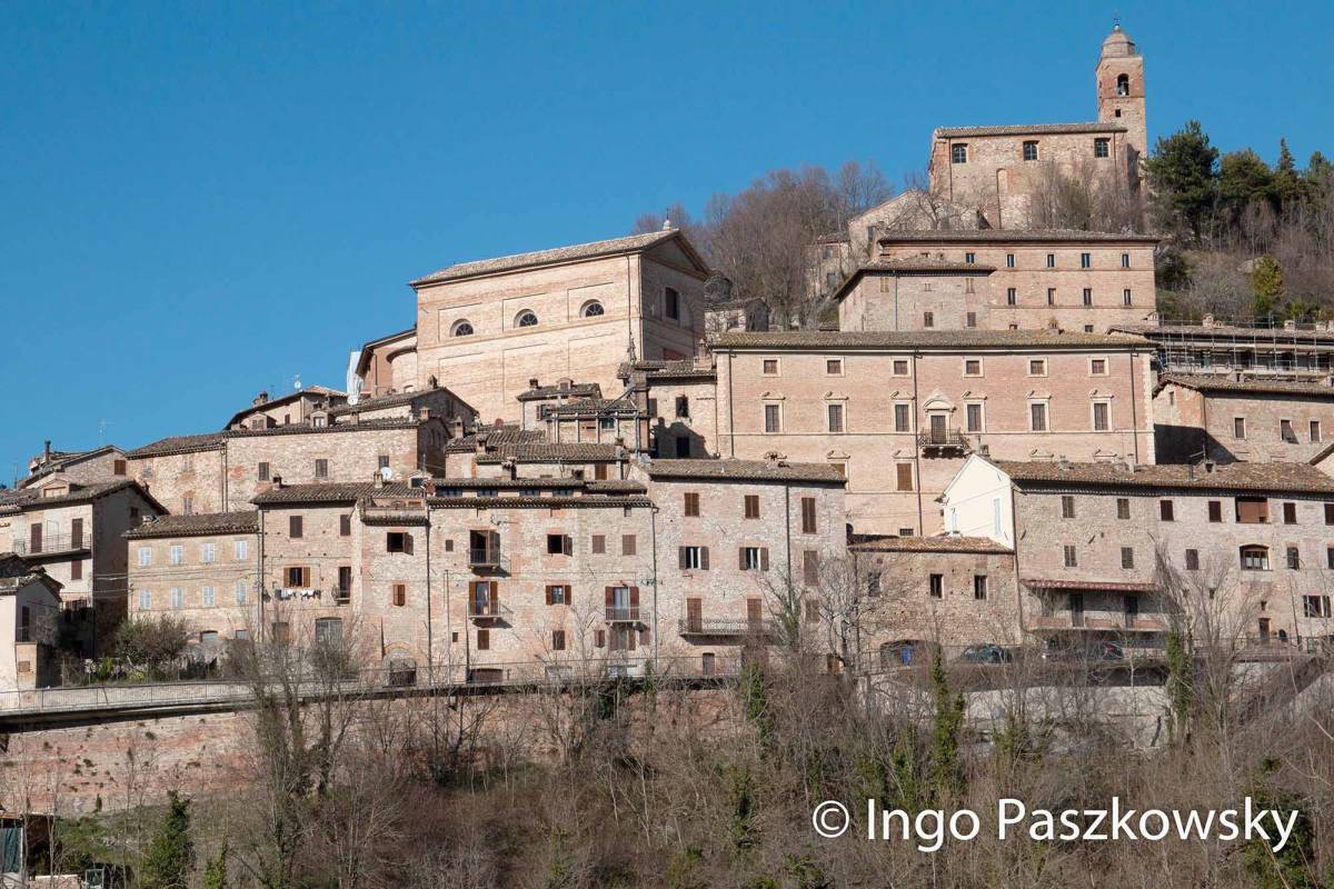 Montefortino Montefortino