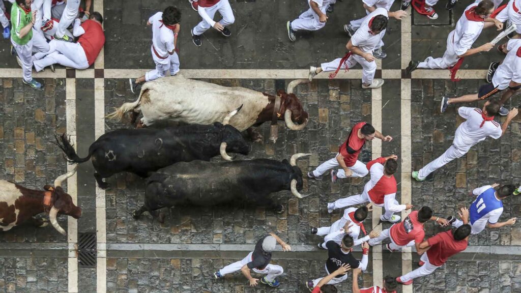 Menschen in weiß-roter Kleidung laufen zusammen mit mehreren Stieren durch eine Straße in Pamplona.