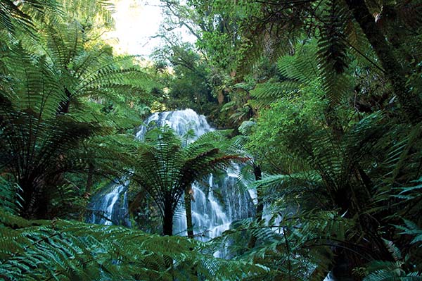 NavigateOceaniaTreetopsLodge EstateBridalVeilWaterfall3 600