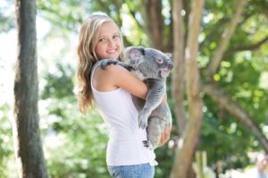 Koalas knuddeln in Queensland: Frühstück mit Koalas und anderen Kuscheltieren 27 Mädchen hält einen Koala im Arm.