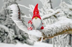 Verrückte Weihnachtsbräuche und andere Bräuche zum Jahreswechsel aus aller Welt 16 Foto: pixabay / Couleur