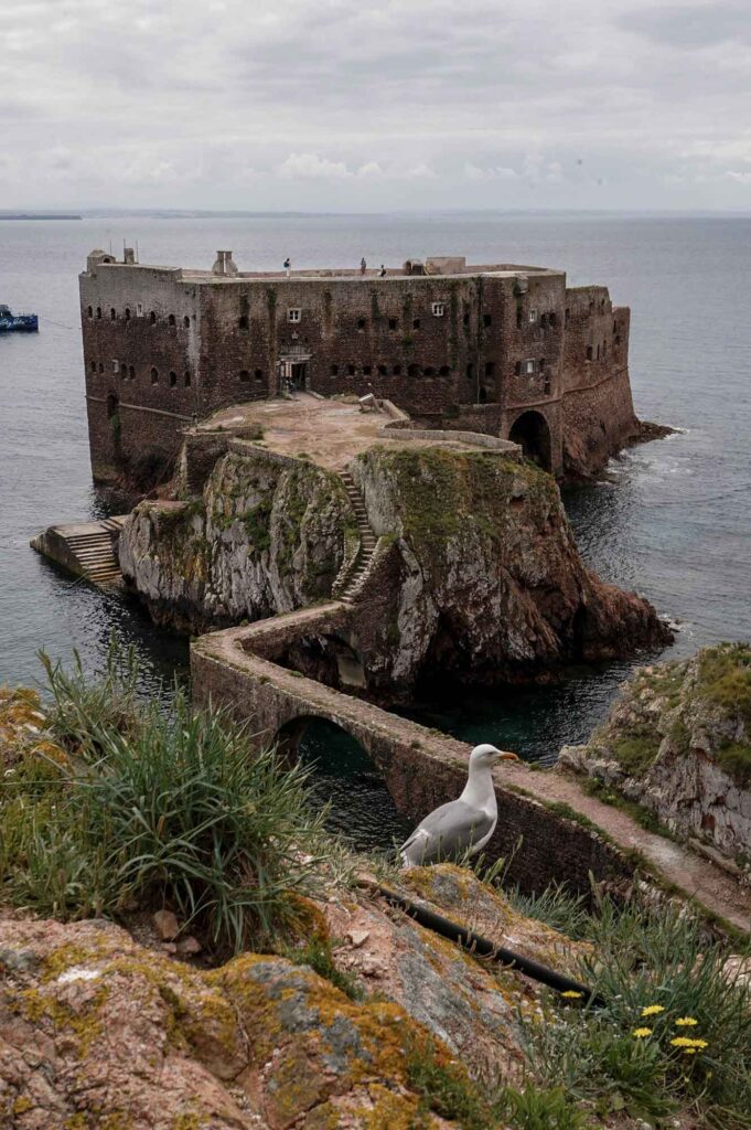 Festung São João Baptista auf den Berlengas mit vorgelagerter Steinbrücke, Möwe im Vordergrund und ruhigem Atlantik.