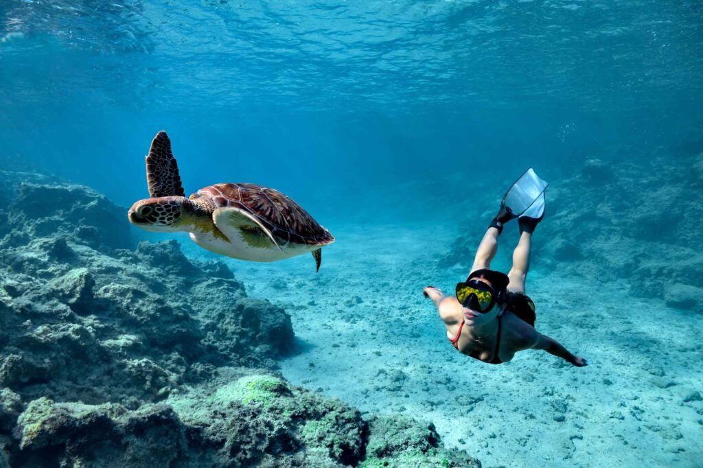 Meeresschildkröte schwimmt im türkisblauen Wasser, daneben eine Schnorchlerin mit Maske und Flossen.