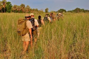 Zu Fuß durch Südafrikas größtes Wildtierreservat 7 Zu Fuß durch Südafrikas größtes Wildtierreservat