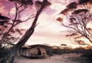 Südaustralien: Outback Kangaluna Camp auf unberührter Eyre-Halbinsel Südaustralien: Outback Kangaluna Camp auf unberührter Eyre-Halbinsel