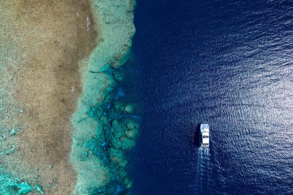 Schwimmen mit Walen in Queensland 6 Drohnen-Foto auf das Bougainville Reef
