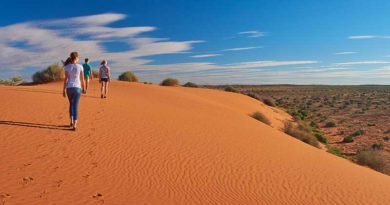 Neuigkeiten aus Südaustralien und neue Fotos über Australiens Outback Neuigkeiten aus Südaustralien und neue Fotos über Australiens Outback