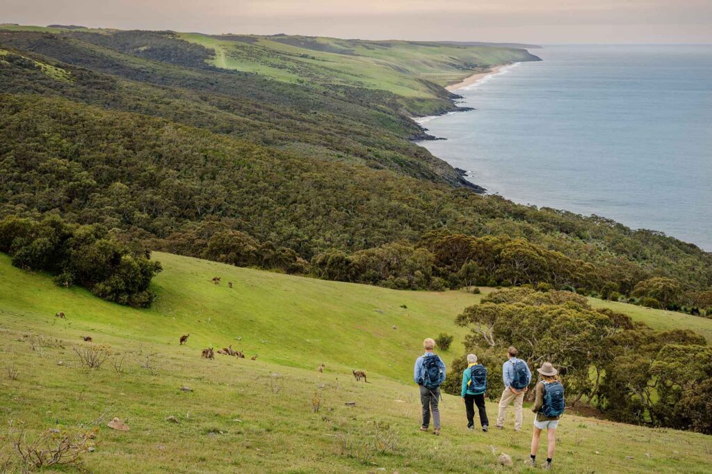 Südaustralien: Interessante Wandertouren und ein Lichtschutzgebiet 6 Personen wandern an der Ocean-Küste