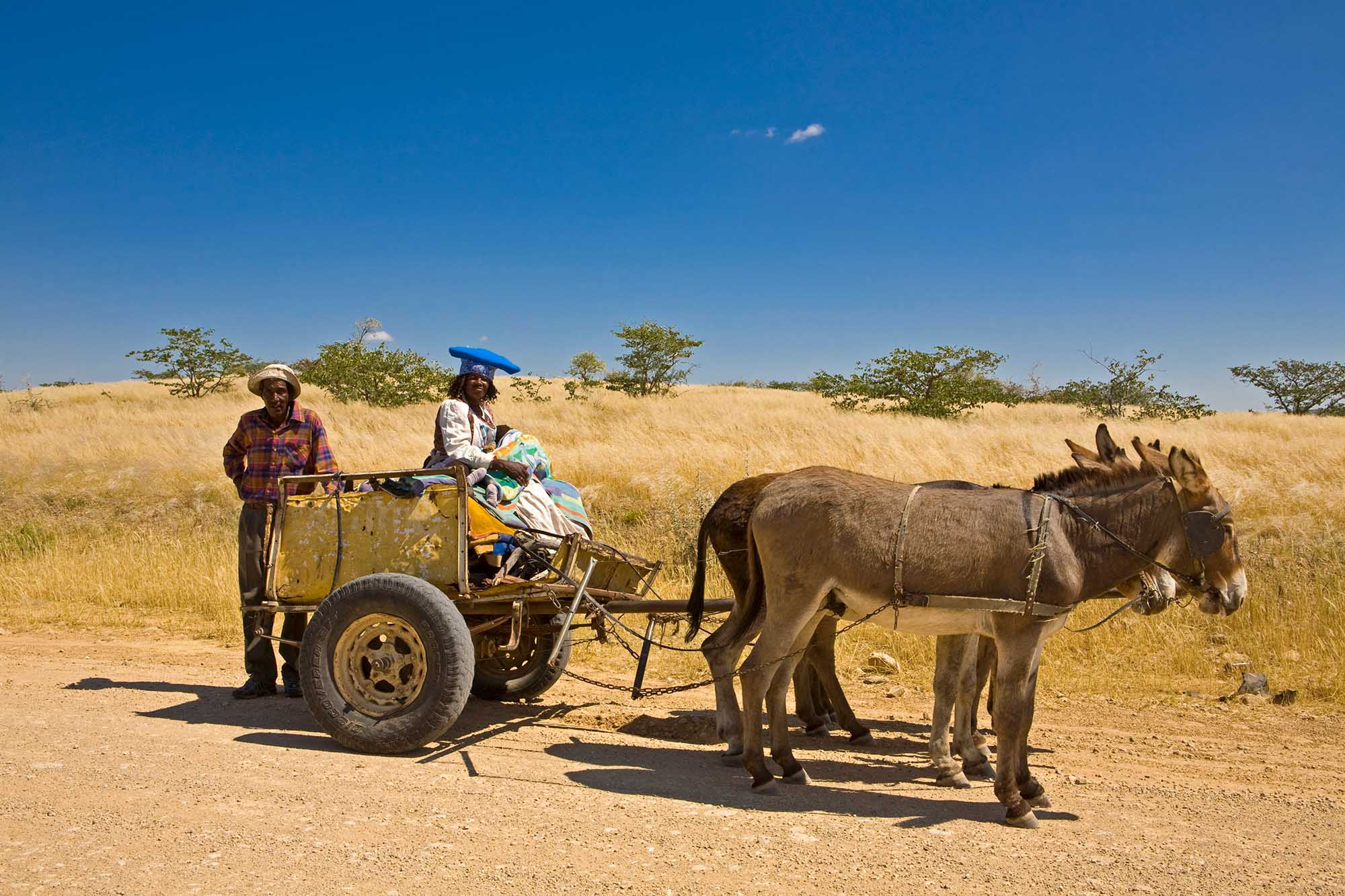 Herero-Frauen tragen häfig diesen traditionellen Kopfschmuck. Auf der Straße C39 in Richtung Westen im Damaraland. Foto: Ingo Paszkowsky