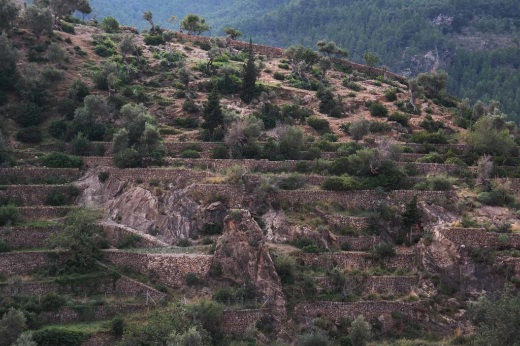 Die Landschaft ist terrassenförmig angelegt / Foto: Ingo Paszkowsky