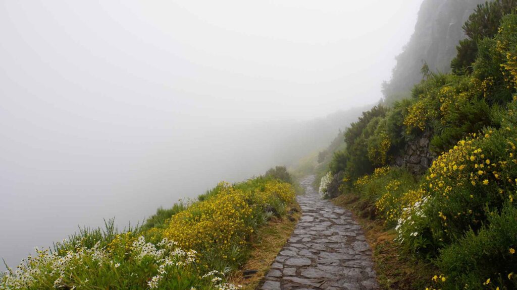 Die Atlantikinsel Madeira in der Übersicht 16 Nebelverhangener Wanderweg auf Madeira mit gepflastertem Pfad, gelben Wildblumen und steiler Felswand am Berghang