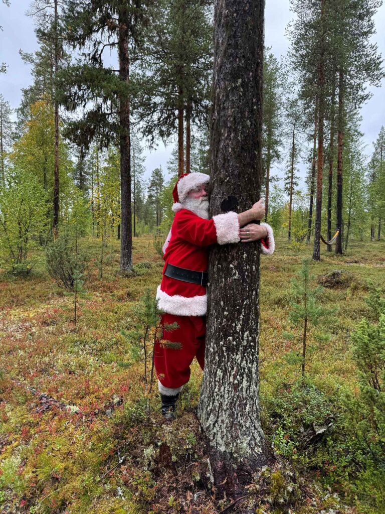 TreeHugging ist wieder angesagt: Weltmeisterschaft im Baum umarmen beginnt 10 weltreisendernet finnland santa copyright minttu heimovirta 250812
