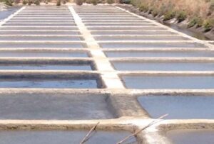 Historische Becken zur Salzgewinnung