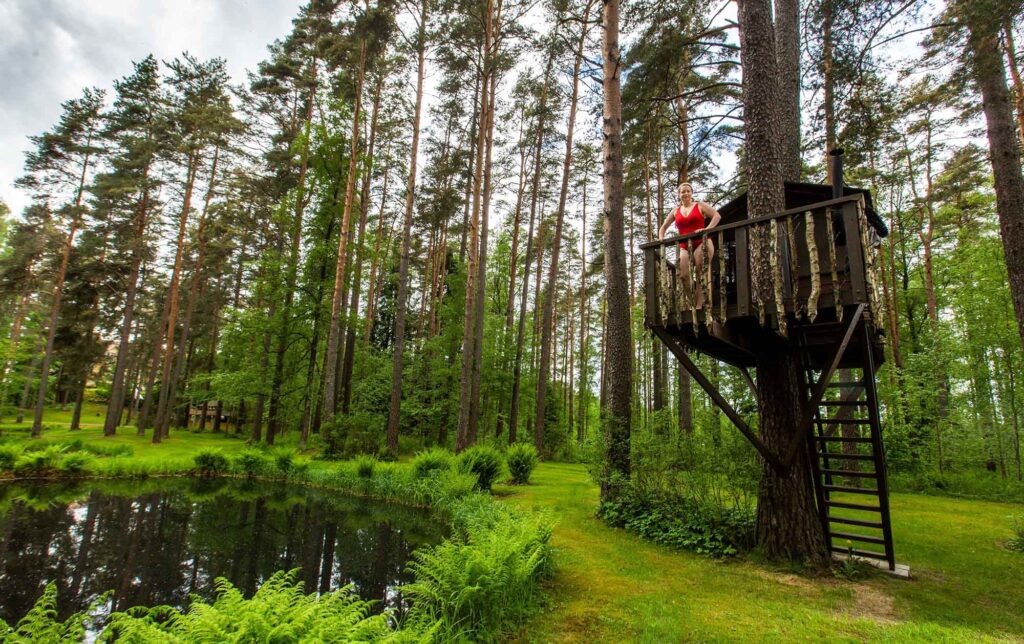 Außergewöhnliche Saunen, in denen du geschwitzt haben solltest 24 Sauna in luftiger Höhe um eine Baum gebaut