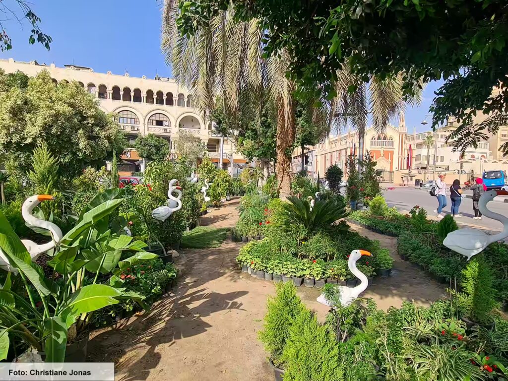 Eine Nil-Kreuzfahrt in Ägypten ist ein einmaliges Erlebnis 47 Eine grüne Oasse in Kairo. Zwischen den Pflanzen stehen Kraniche aus Plastik
