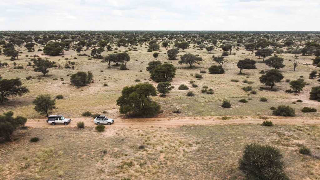 Wildnis erleben, Freiheit spüren - mit Miss Guided Safaris 5 Zwei Offroad-Fahrzeuge fahren auf einer Piste durch die weite, baumbestandene Landschaft der Kalahari in Afrika, aufgenommen aus der Luft.
