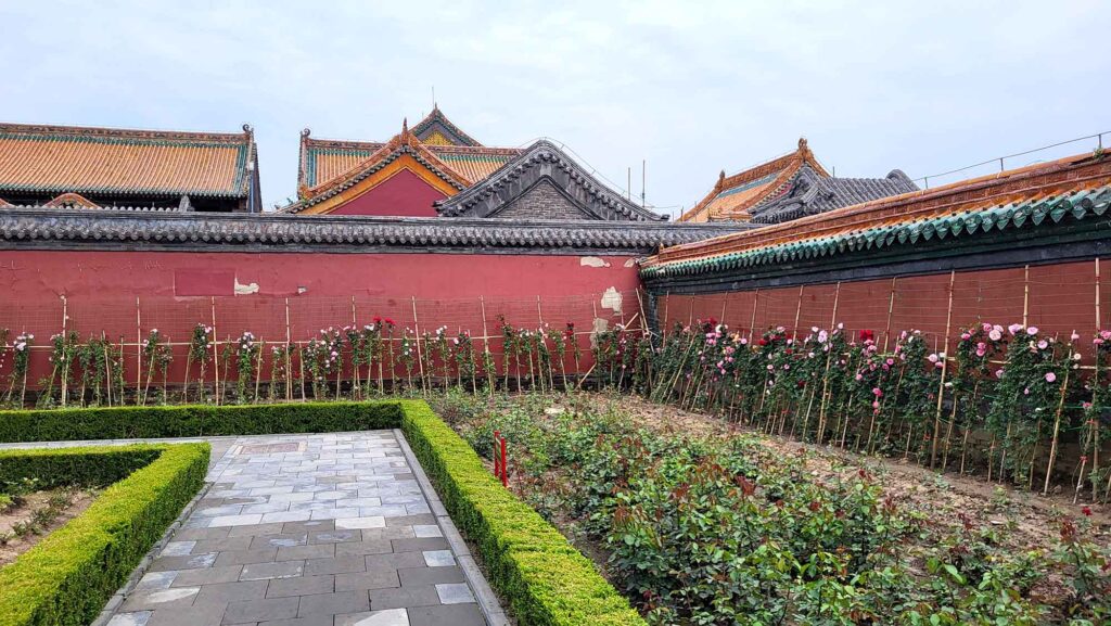 Kaiserpalast von Shenyang – Die „Verbotene Stadt“ des Nordens erleben 17 Ein gepflasterter Weg führt durch einen Garten mit niedrigen, akkurat geschnittenen Hecken auf der einen Seite und einer hohen, roten Mauer mit Pflanzen auf der anderen.