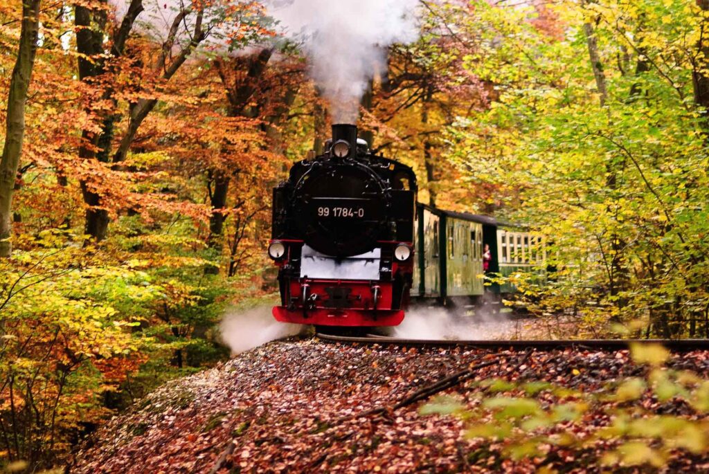 Zug mit Dampflokomotive durch den herbstlichen Wald unterwegs