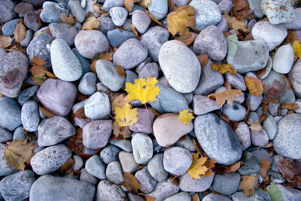 Runde, abgeschliffene Steine und einige Herbstblätter