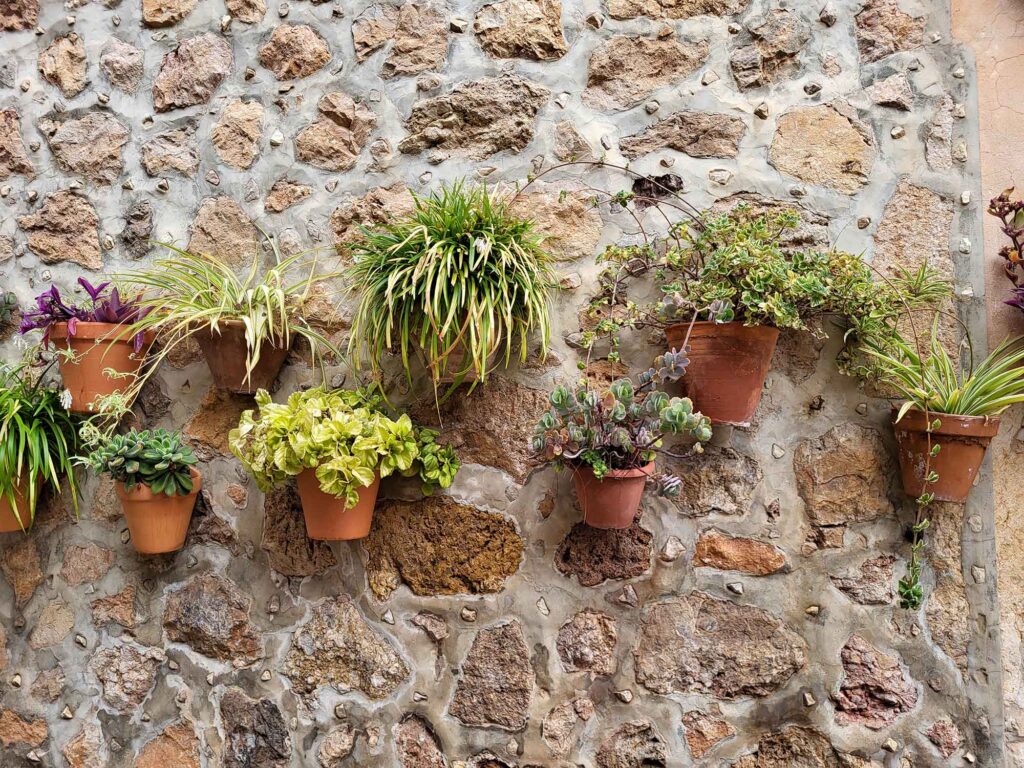 Steinwand in Valldemossa mit buntem Blumenschmuck und mediterranen Pflanzen in Tontöpfen.