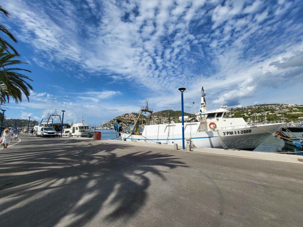 Fischerboote am Kai von Puerto de Andratx mit Palmen und Bergen im Hintergrund.