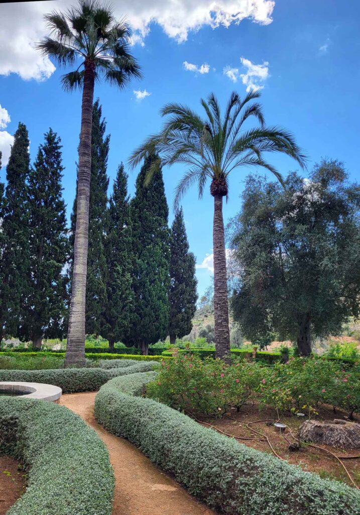 Hohe Palmen, Zypressen und gepflegte Gartenwege im historischen Landgut Raixa auf Mallorca.