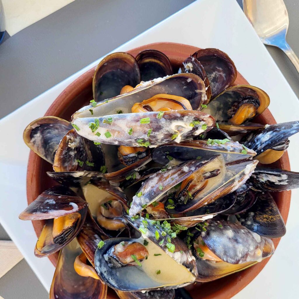 Sant Elm (San Telmo) – Das Tor zur Dracheninsel Sa Dragonera 7 Schale mit frischen Miesmuscheln in Sant Elm Mallorca am Meer.