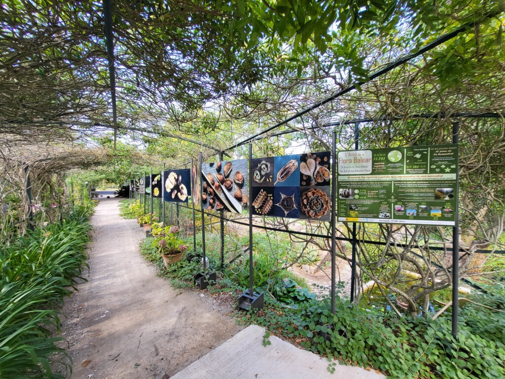 Botanischer Garten und Museum in Sóller – Natur erleben auf Mallorca 8 Lehrpfad mit Informationstafeln über die Flora der Balearen im Botanischen Garten Sóller auf Mallorca