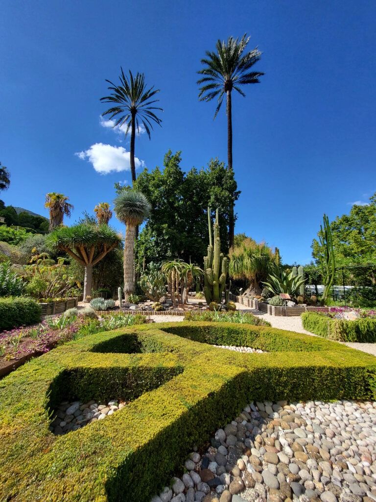 Blick auf Palmen, Kakteen und geschnittene Hecken im Botanischen Garten von Sóller auf Mallorca
