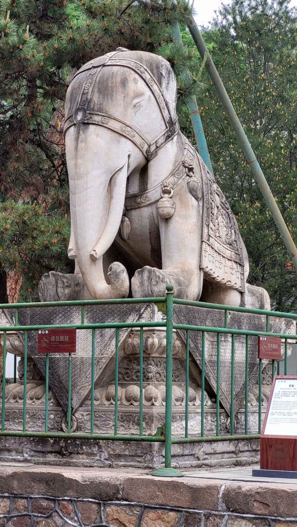 Nahaufnahme einer knienden Elefantenstatue aus Stein mit kunstvoll verziertem Sattel und Decke.