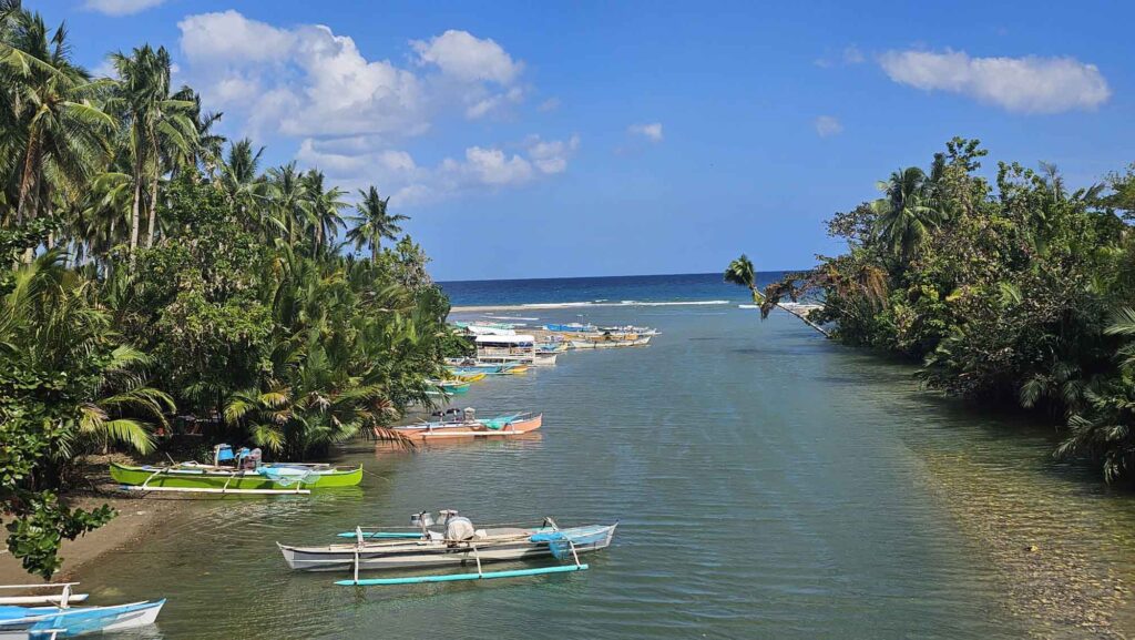 Bunte Fischerboote liegen in einer tropischen Flussmündung auf Bohol mit Palmen und Meer im Hintergrund.