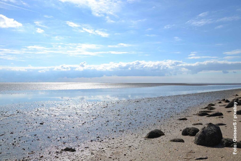 Blick über Wattenmeer bei Sonnenschein