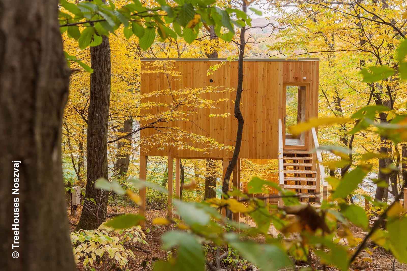 In Ungarn außergewöhnlich übernachten 1 Auf Stelzen gebautes Holz-Baumhaus im herbstlichen Wald mit gelb gefärbten Blättern und Treppe zum Eingang