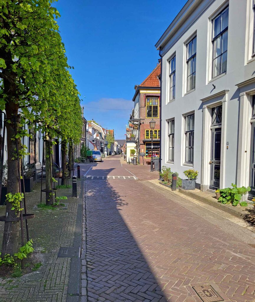 Harderwijk: Entschleunigung zwischen Hansestadt und Veluwemeer 10 Sonnige Straße mit historischen Häusern und Bäumen in Harderwijk