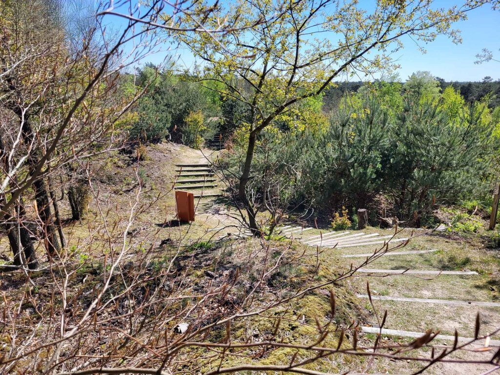 Schmaler Weg mit Treppen durch eine naturnahe Landschaft mit Büschen und Bäumen