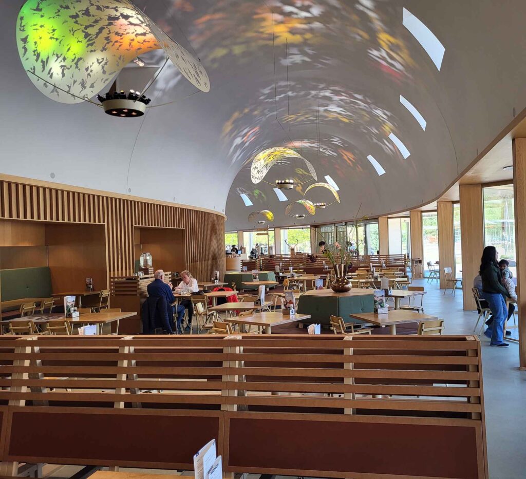 Modernes Restaurant mit Holzmöbeln und geschwungener Decke