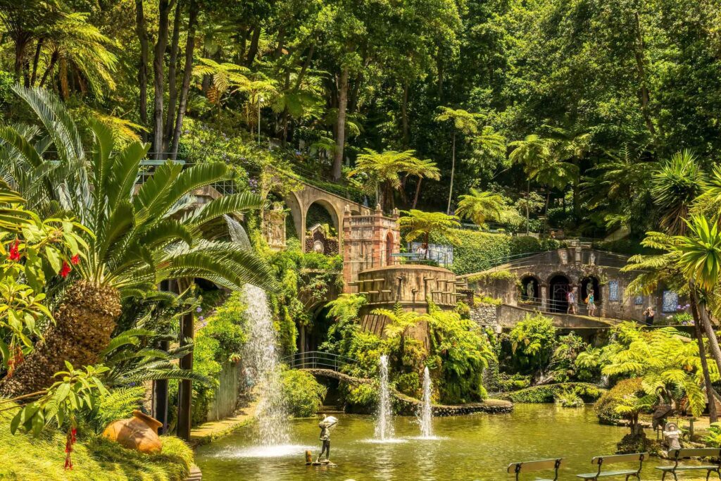 Madeira Aktivurlaub: Highlights für Wanderer, Abenteurer & Naturliebhaber 3 Tropischer Garten auf Madeira mit Palmen, Wasserfällen, Teich und dichter grüner Vegetation
