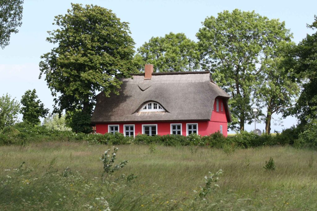Rügen entdecken: Deutschlands größte Insel zwischen Ostseecharme und Naturwundern 5 Rotes Reetdachhaus auf Rügen, umgeben von Wiesen, Hecken und grünen Bäumen.