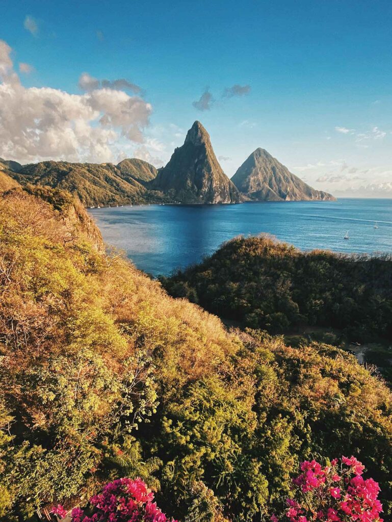 Ein Weitwinkel-Landschaftsfoto von Saint Lucia, das einen weiten Blick über einen dicht bewaldeten Regenwaldhang mit leuchtend rosa Bougainvillea-Blüten im Vordergrund bietet. Im Mittelgrund ist eine ruhige blaue Bucht mit kleinen Segelbooten zu sehen. Dahinter erheben sich dramatisch zwei große, spitze, bewaldete Vulkankegel, die Pitons, unter einem klaren blauen Himmel mit flauschigen weißen Wolken. Die warmen, goldenen Töne des Sonnenuntergangs oder -aufgangs beleuchten die Szene.