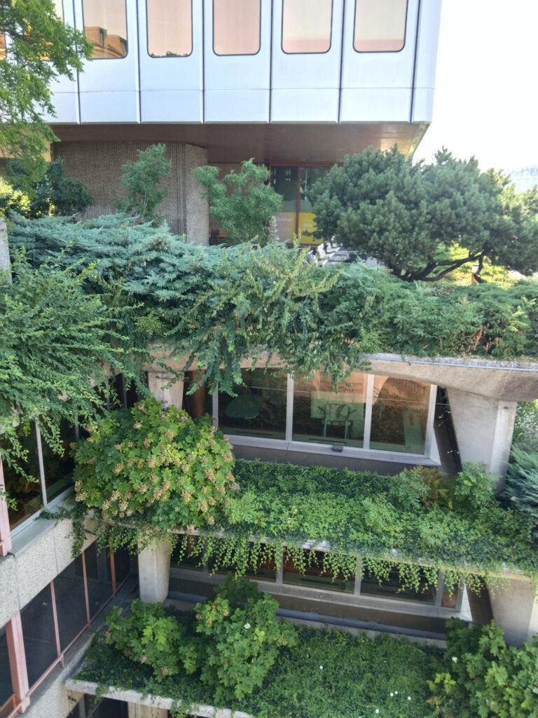 Radsport, Hitze und Erbauung 15 Üppig begrünte Terrassen und Dächer eines modernen Gebäudes im Quartier du Flon in Lausanne.