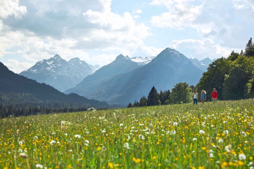 Auf den Spuren des Malers Max Kuhn: Das Lechtal rund 160 Jahre später 17 Wanderer auf einer Blumenwiese am Moosberg bei Weißenbach vor der Bergkulisse des Lechtals