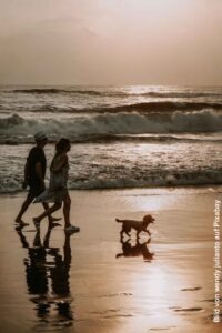 Camping mit Hund: So wird der Urlaub für Zwei- und Vierbeiner entspannt 32 Paar mit Hund beim Sonnenuntergang am Meer mit Wellen