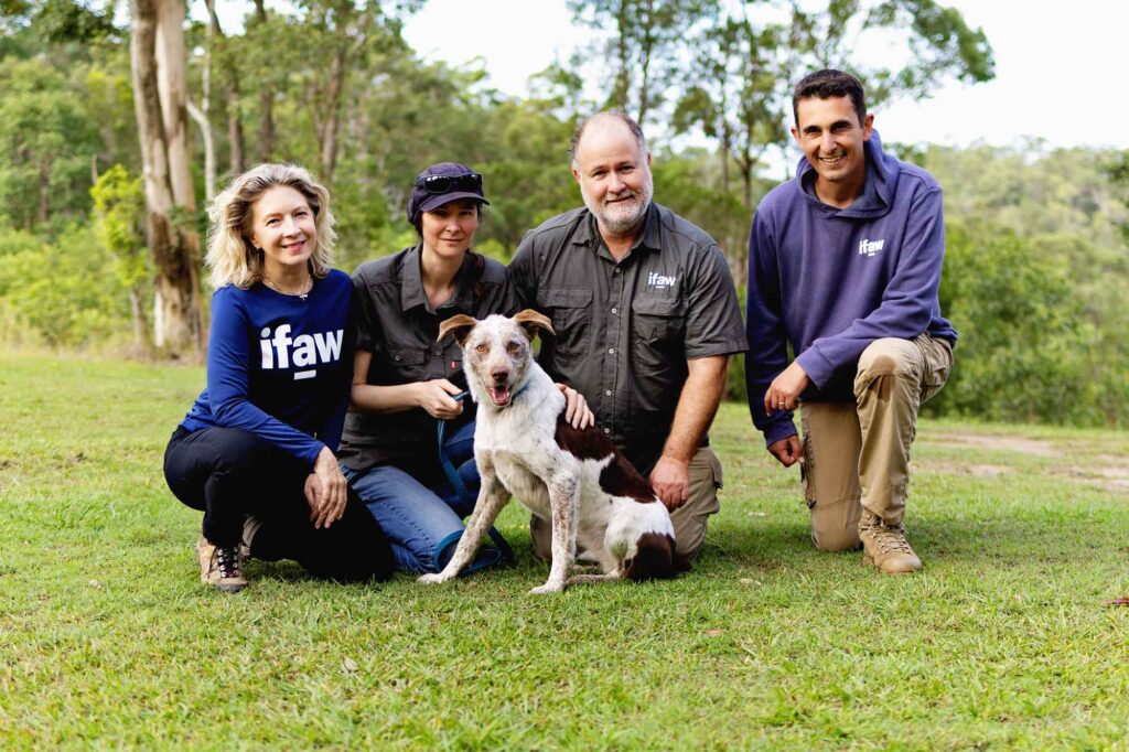 Koala-Spürhunde in Australien: Mit feiner Nase auf Rettungsmission 4 Koala-Spürhund Oaka sitzt mit Josey Sharrad, Romane Cristescu, Russell Miller und Frédéric Chappée auf einer Wiese.
