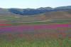 Italien, Umbrien