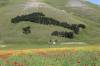 Italien, Umbrien